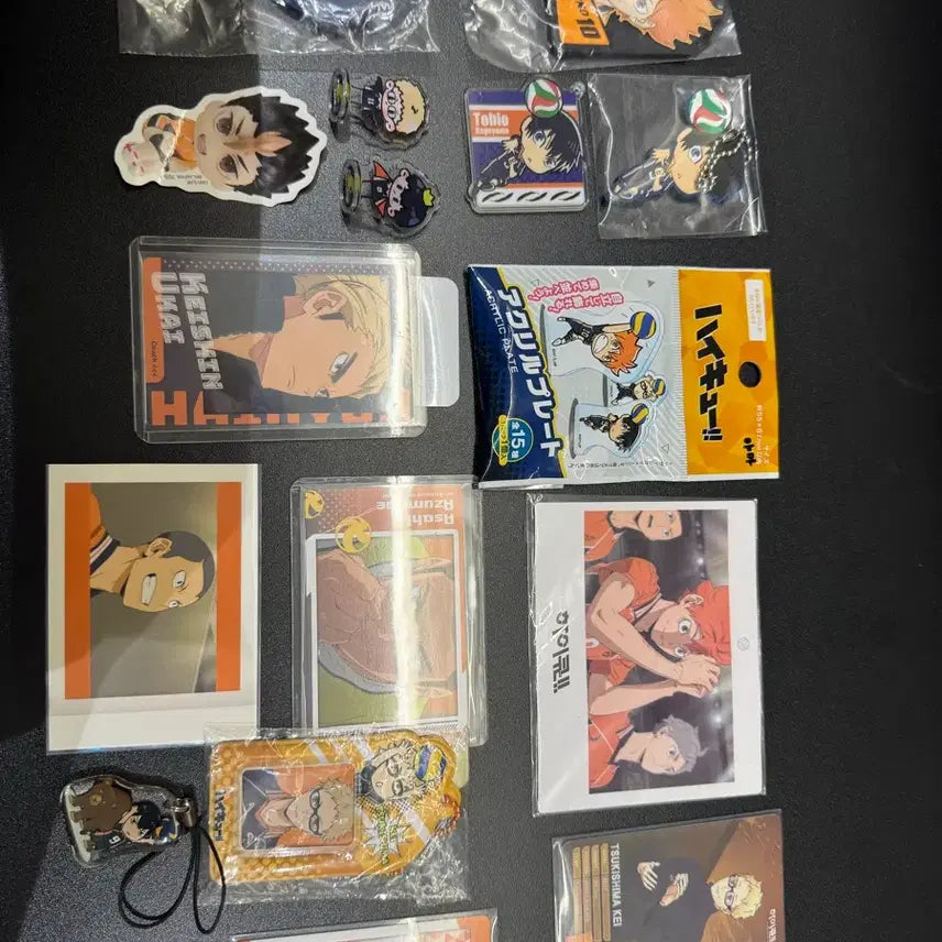 [BUNJANG] Haikyuu!! Karasuno Goods Collection / 하이큐 카라스노 굿즈 모음
