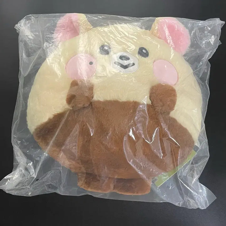[BUNJANG] NCT DREAM Jisung Baby Chestnut Big Flat Cushion (Sealed) / 엔시티드림 라인프렌즈 지성 밤찌 대왕 쿠션 미개봉