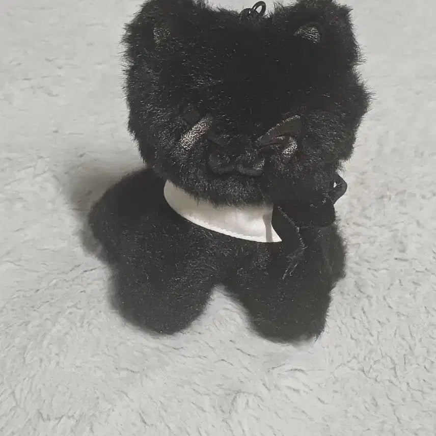 [BUNJANG] TWS Romeo Cat Doll (Unsealed) / 투어스 로미오캣 인형 개봉 단품