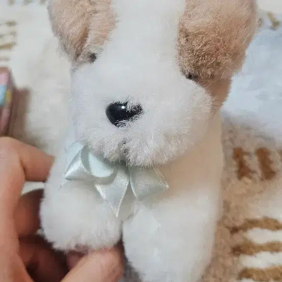 [BUNJANG] Vintage Dog Plush Toy / 빈티지 강아지 인형