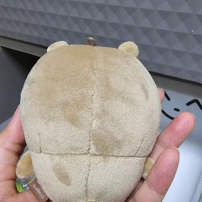 [BUNJANG] Nagano Original Tanning Bear Doll Brown Bear / 나가노 정품) 태닝곰 농담곰 갈색곰