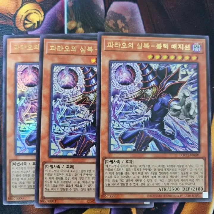 [BUNJANG] Yu-Gi-Oh! Dark Magician of Chaos Bundle Set / 유희왕 파라오의 심복 블랙 매지션(울레)