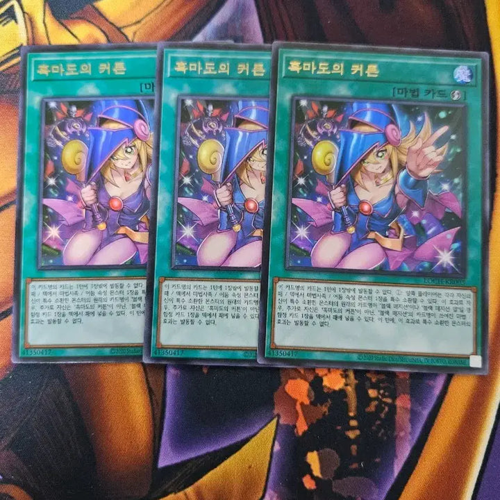 [BUNJANG] Yu-Gi-Oh! Dark Magician Girl Bundle Set / 유희왕 흑마도의 커튼