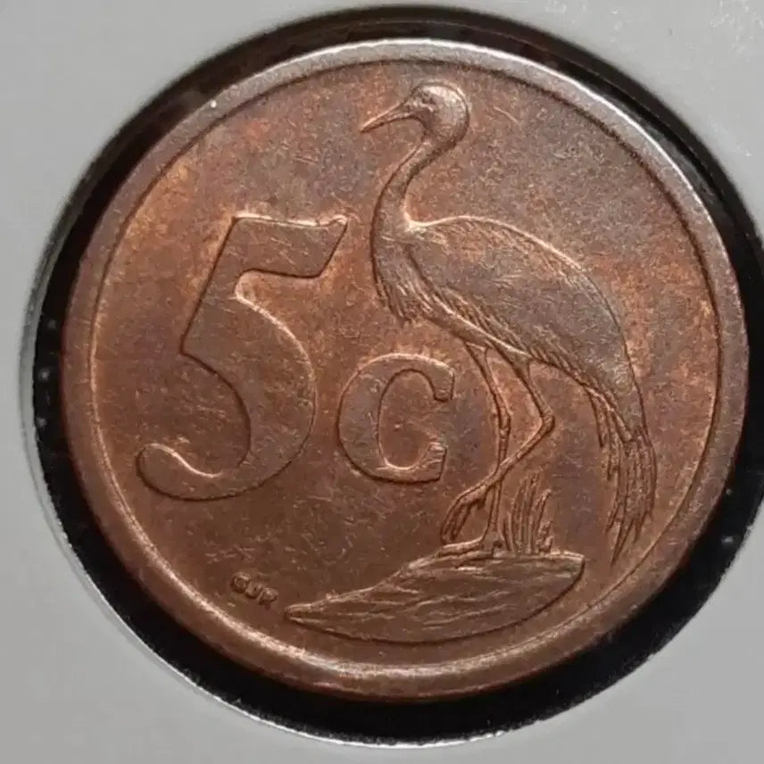 [BUNJANG] South Africa 2005 5 Cent Coin / 남아프리카 2005년 5센트.외국주화 주화 화폐 동전