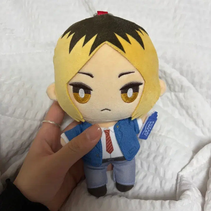 [BUNJANG] Haikyuu!! Kozume Kenma Plush Doll / 하이큐 켄마 인형