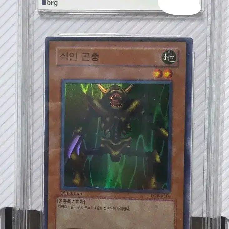 [BUNJANG] Yu-Gi-Oh! 1st Edition Cannibalizing Insect BRG6 / 유희왕 1st 퍼에 식인곤충 brg6
