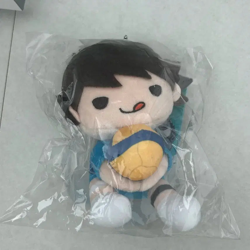 [BUNJANG] Haikyuu!! Oikawa Tooru Receive Plush / 하이큐 오이카와 리시브 인형
