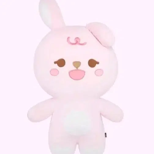 [BUNJANG] PetitMals Philki Bundle Set with Polaroid / 자이언트 쁘띠멀즈 필끼 (폴라포함)