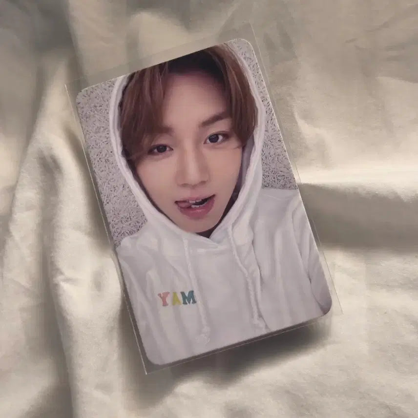 [BUNJANG] Park Jihoon Mamute Lucky Draw Photocard / 가격내림 급처!!!!!ㅜㅜㅜ )) 박지훈 마뮤테