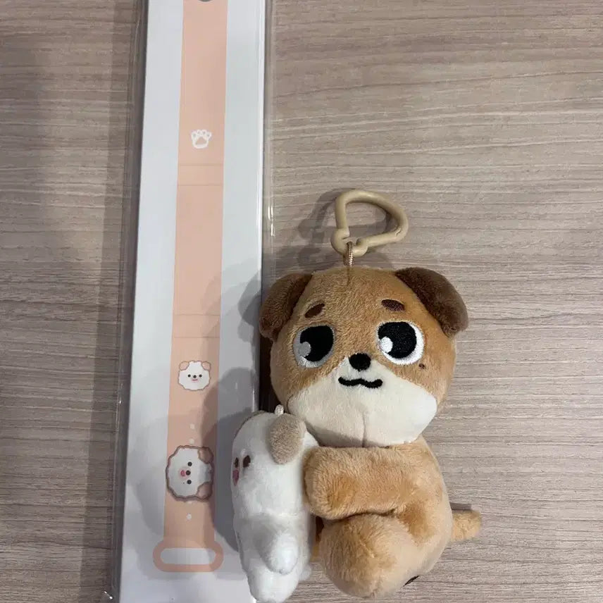 [BUNJANG] DAY6 Dowoon Strap Money Magnet Set / 데이식스 도운 스트랩 돈 마그넷세트 나안아