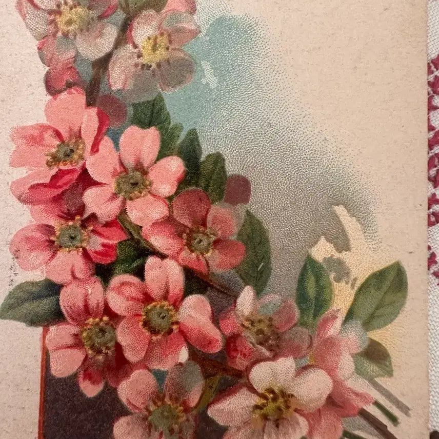 [BUNJANG] Antique Postcard Small Flower Bouquet / 앤틱엽서 작은꽃다발