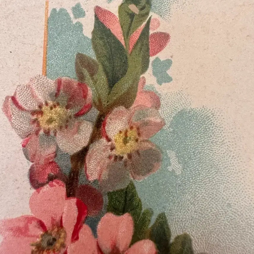 [BUNJANG] Antique Postcard Small Flower Bouquet / 앤틱엽서 작은꽃다발