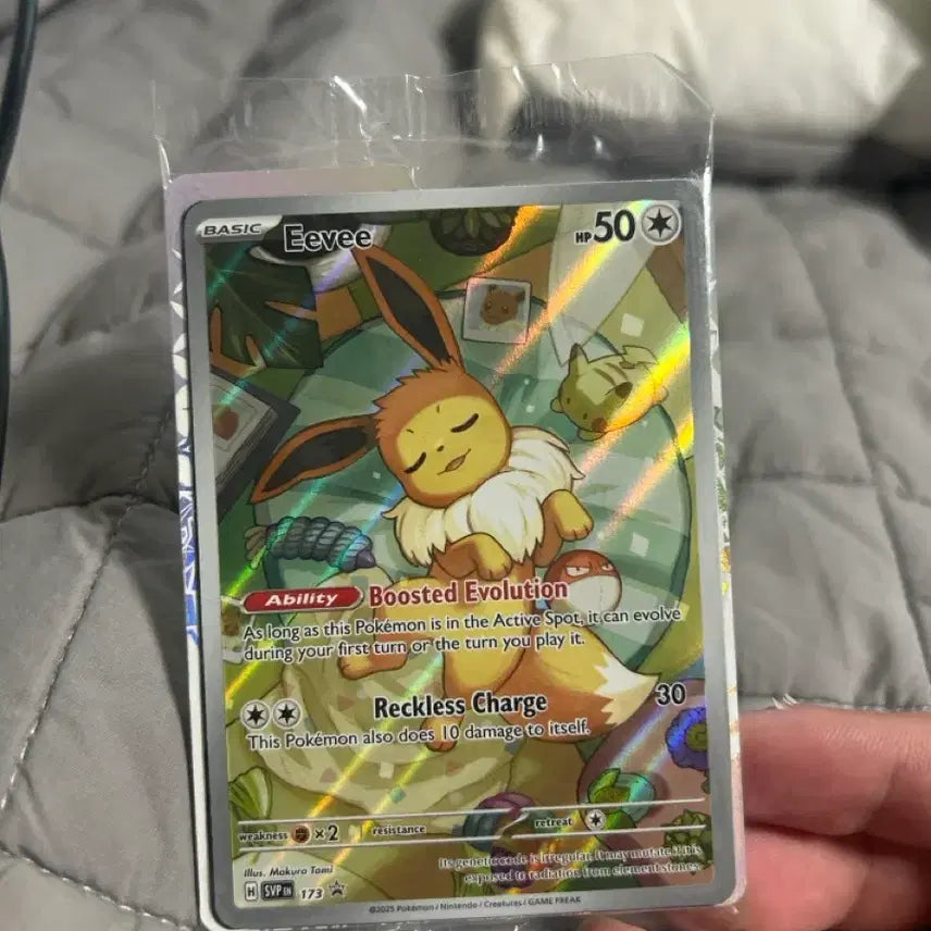 [BUNJANG] Eevee Korean Version Sealed Card / 이브이 영판 미개봉 카드