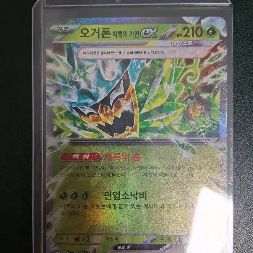[BUNJANG] Pokemon Card Ogerpon (Teal Mask) EX / 포켓몬카드 오거폰(벽록의가면)ex