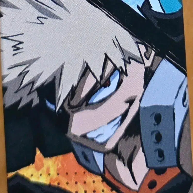[BUNJANG] My Hero Academia Character Poster Collection / 나히아 히로아카 나의 히어로 아카데미아 캐릭터 포스터 컬렉션