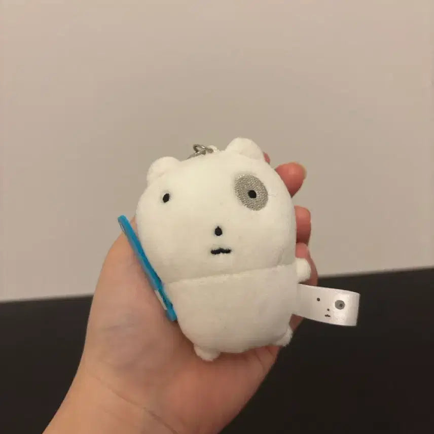 [BUNJANG] Round Lab Nunmongi Keyring / 라운드랩 눈멍이 키링