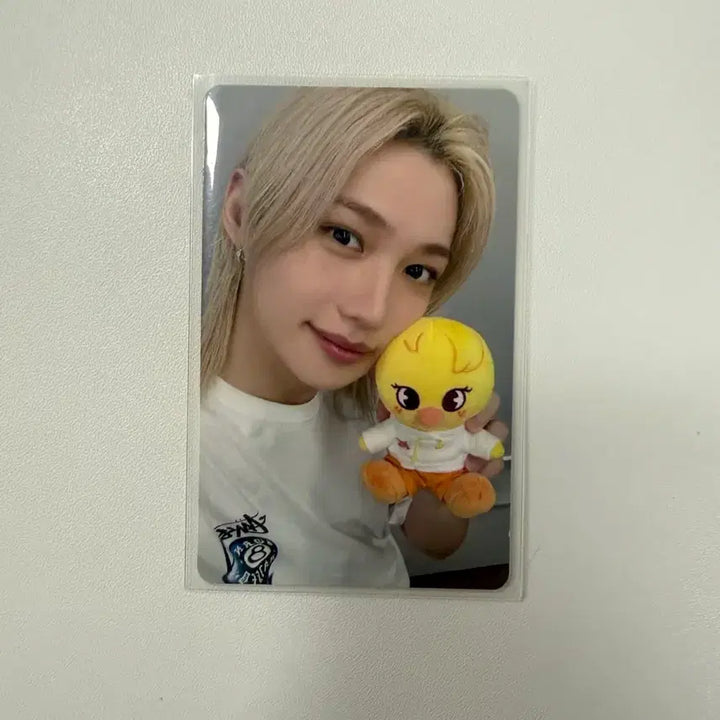 [BUNJANG] Stray Kids Zoo Topia Felix Photocard / 스트레이키즈 주토피아 필릭스 포카