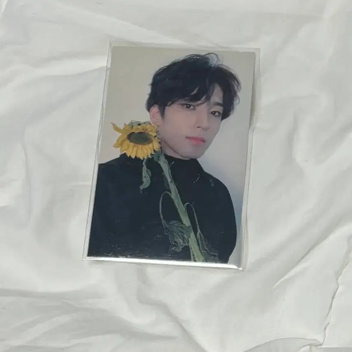 [BUNJANG] Seventeen Wonwoo You Make My Day Broadcast Photocard / (최저가) 세븐틴 원우 공방 캐럿존 해바라기 ymmd 포카 판매 양도