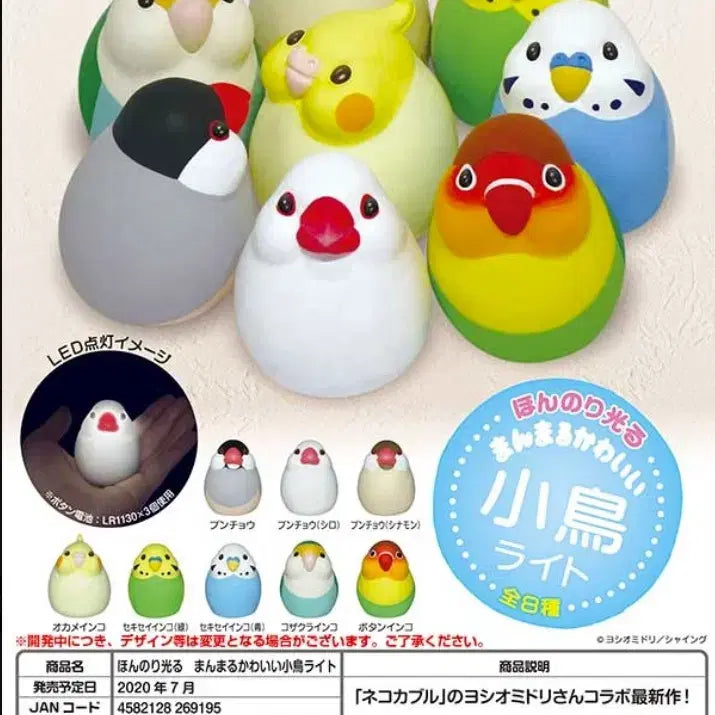 [BUNJANG] SHINE Sparkling Crowned Parrot Gacha / 샤인 빛나는 왕관앵무 가챠
