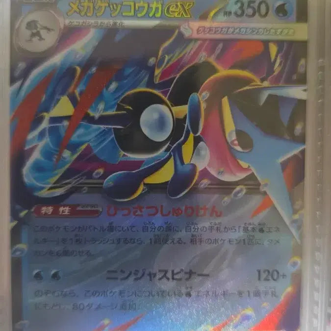 [BUNJANG] Mega Blastoise EX RR - Graded S-Class / 메가개굴닌자 ex RR S급 판매