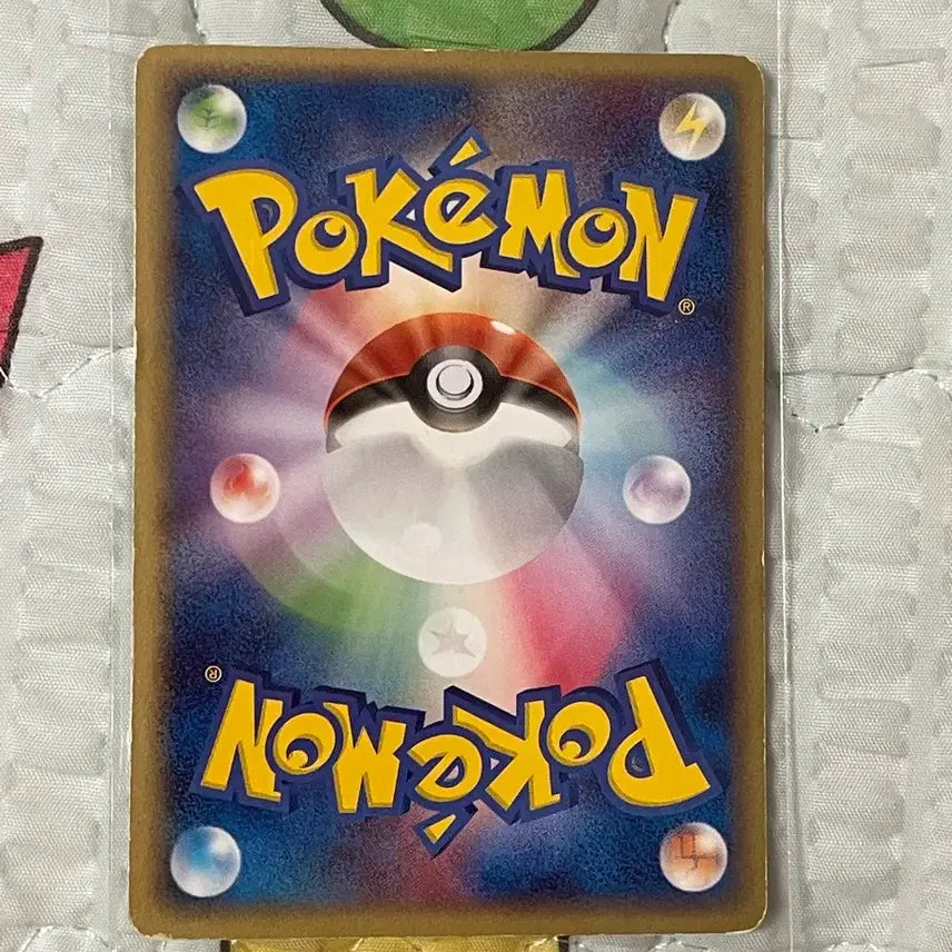 [BUNJANG] Pokemon Card Meta Squirtle / 포켓몬 카드 메타 꼬부기 일판