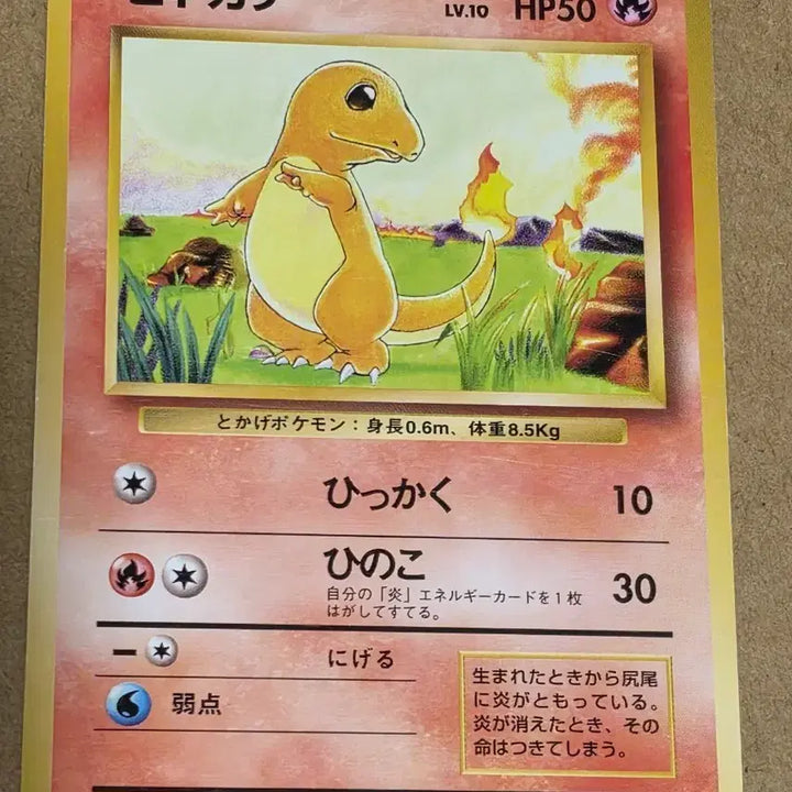 [BUNJANG] Pokemon Card Initial Charmander / 포켓몬 카드 초기 파이리