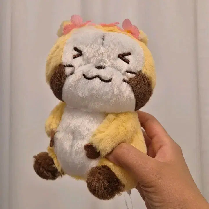 [BUNJANG] Rascal Raccoon Plush Toy with Flower Decoration / 너구리 라스칼 인형