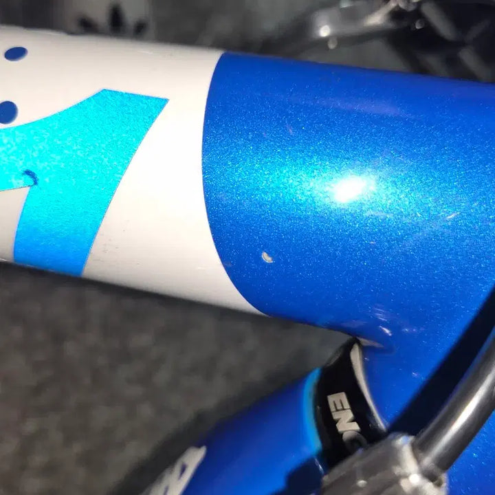 [BUNJANG] Engine11 Blueskin Medium Cycling Frame / 엔진11 블루스킨 m사이즈 (급처)네고 가능