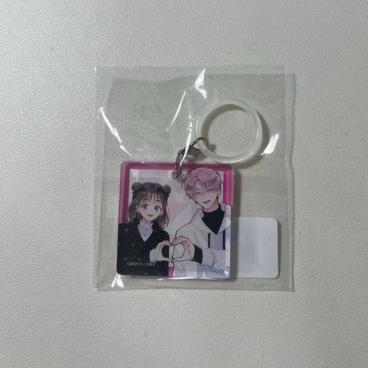 [BUNJANG] Tamonkun Acrylic Charm "Which Way Are You? / 미개봉) 타몬군 지금 어느쪽?! 하쿠센샤 아크릴 키링 메지루시 굿즈