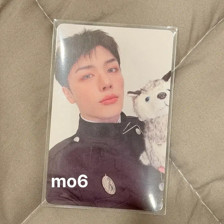[BUNJANG] ENHYPEN Maki BTW Photocard / 앤팀 마키 btw 포카