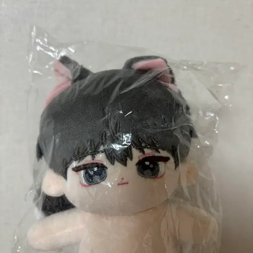 [BUNJANG] The Greatest of All Time Ryu Geonwoo 15cm Plush Doll / 데못죽 류건우 15 솜인형 양도