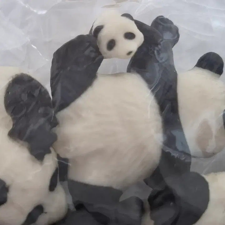 [BUNJANG] Panda Figurines Set (7 Pieces) / 판다 피규어 모음