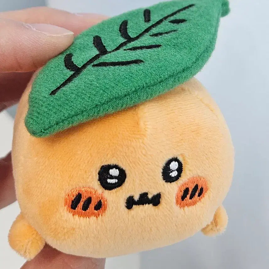 [BUNJANG] Nongdamgom Damgom Naganoh Gacha Plush Set (2 Types) / 농담곰 담곰이 나가노 가챠 인형 2종