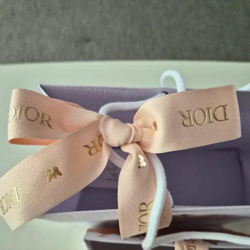 [BUNJANG] Dior Shopping Bag Set / 디올  (DIOR) 쇼핑백