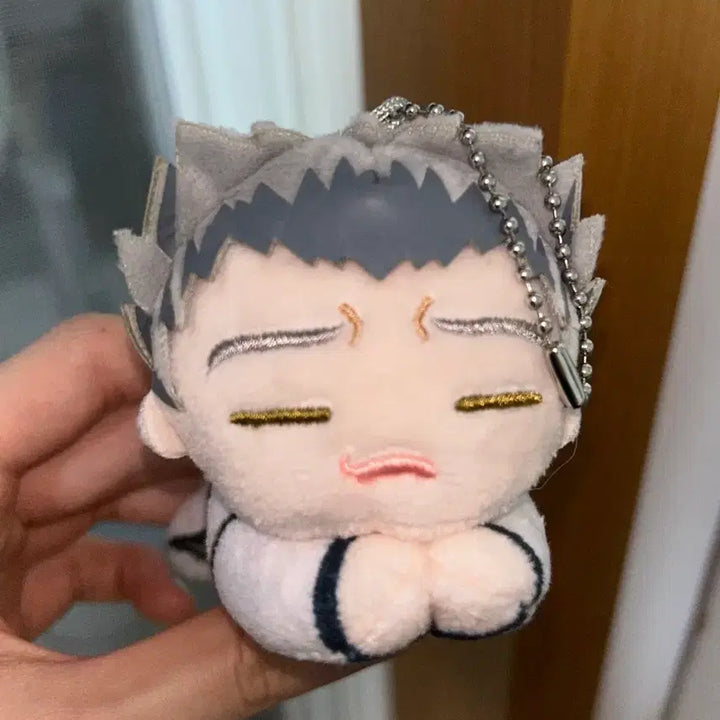[BUNJANG] Haikyuu!! Bokuto Koutarou Plush Doll / 하이큐 보쿠토 누이 판매