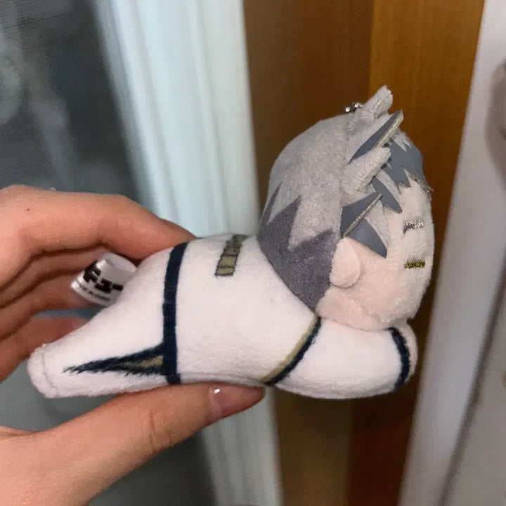 [BUNJANG] Haikyuu!! Bokuto Koutarou Plush Doll / 하이큐 보쿠토 누이 판매