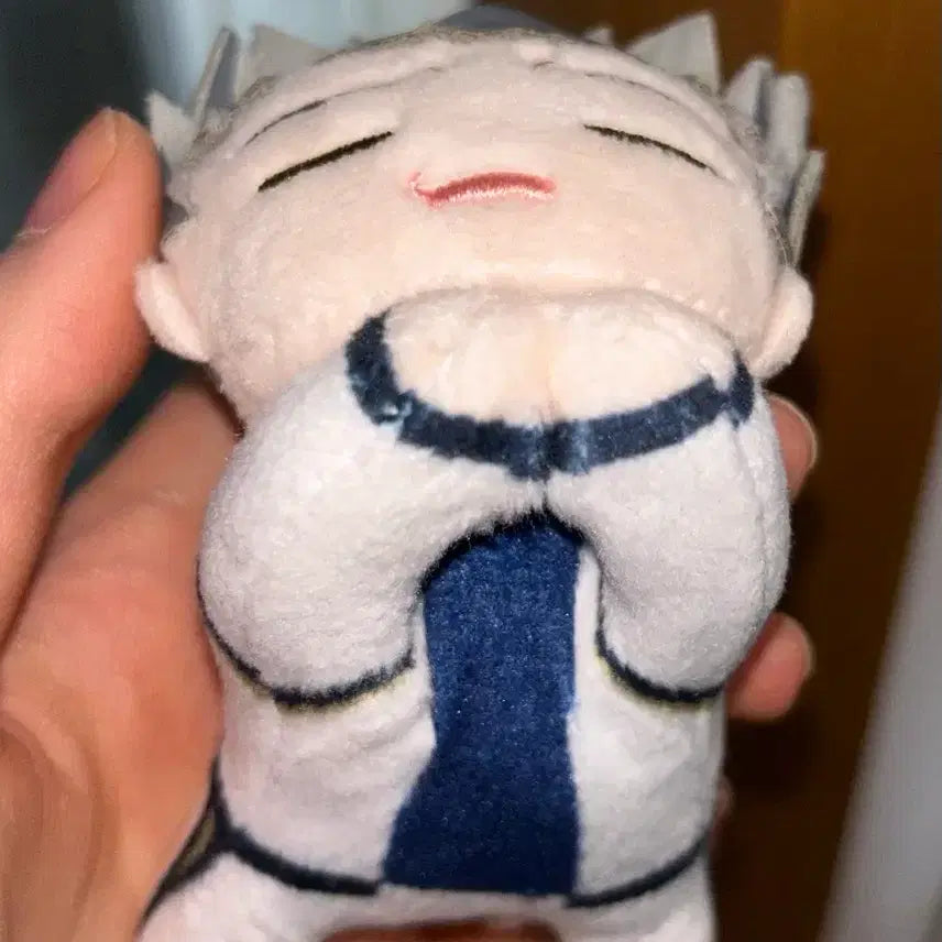 [BUNJANG] Haikyuu!! Bokuto Koutarou Plush Doll / 하이큐 보쿠토 누이 판매