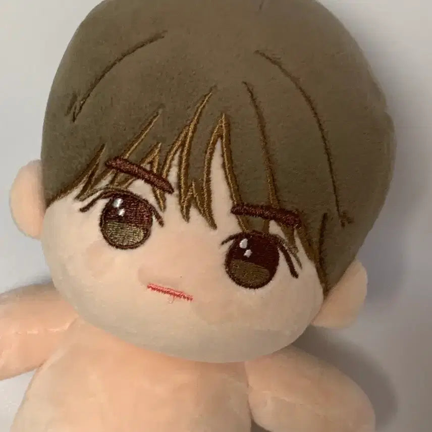 [BUNJANG] TXT Beomgyu 20cm Plush Doll (Attribute Mixed) / txt 투바투 범규 20cm 솜인형