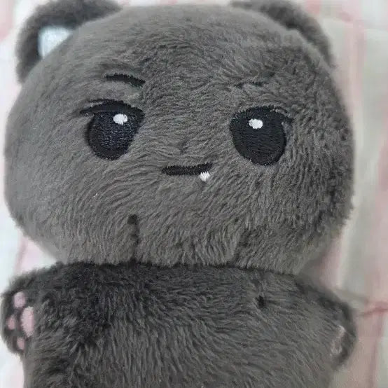 [BUNJANG] ENHYPEN Jay Doll / 엔하이픈 제이 인형