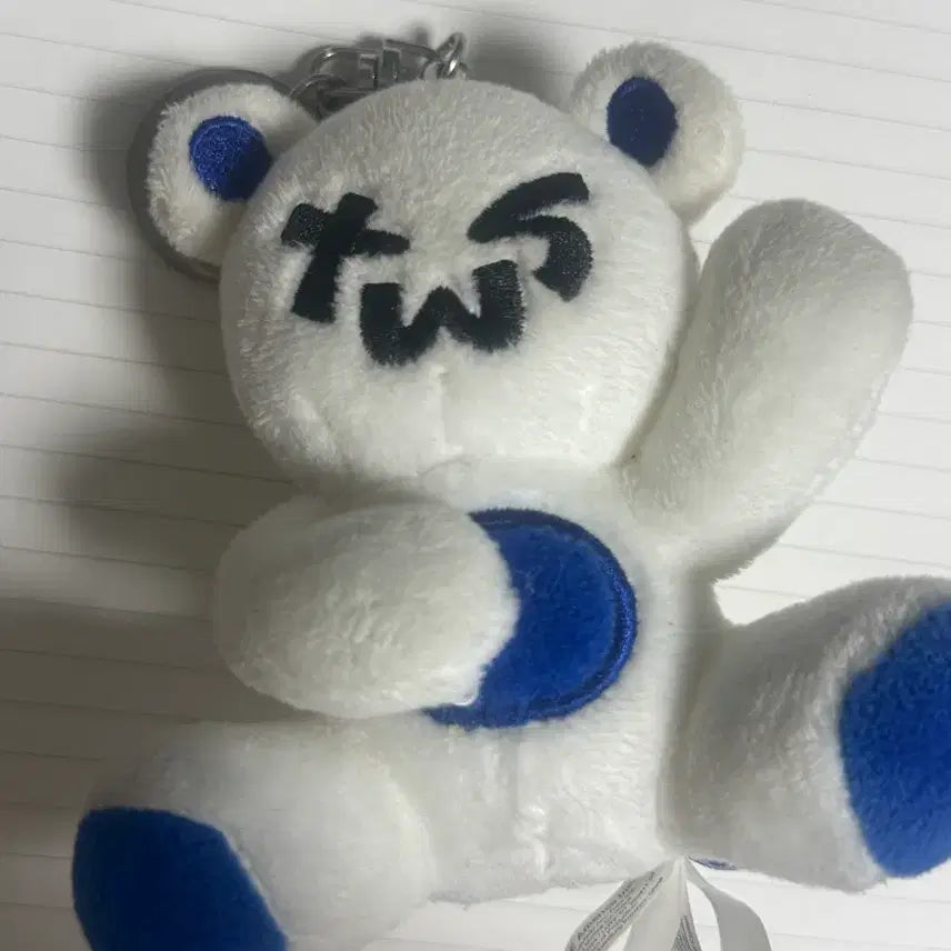 [BUNJANG] TWS 2Tuckgom Bear Idol Photocard Bundle POB / 투곰이 투어스 인형 포카 처분 일괄 미공포 포토카드 앨범