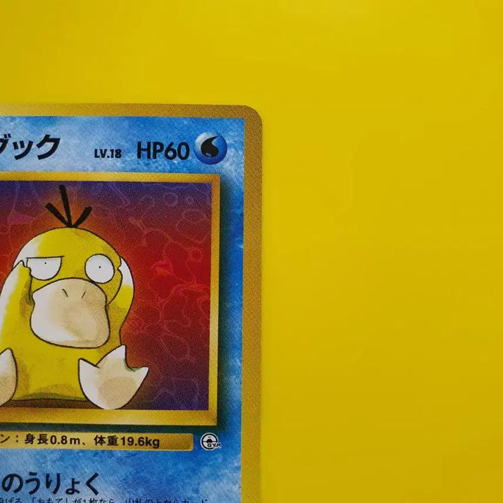 [BUNJANG] Pokemon Card 1996 Red Psyduck First Edition Japanese Version / 포켓몬카드 ss급 1996 극희소 붉은 고라파덕 초판 일본판 4