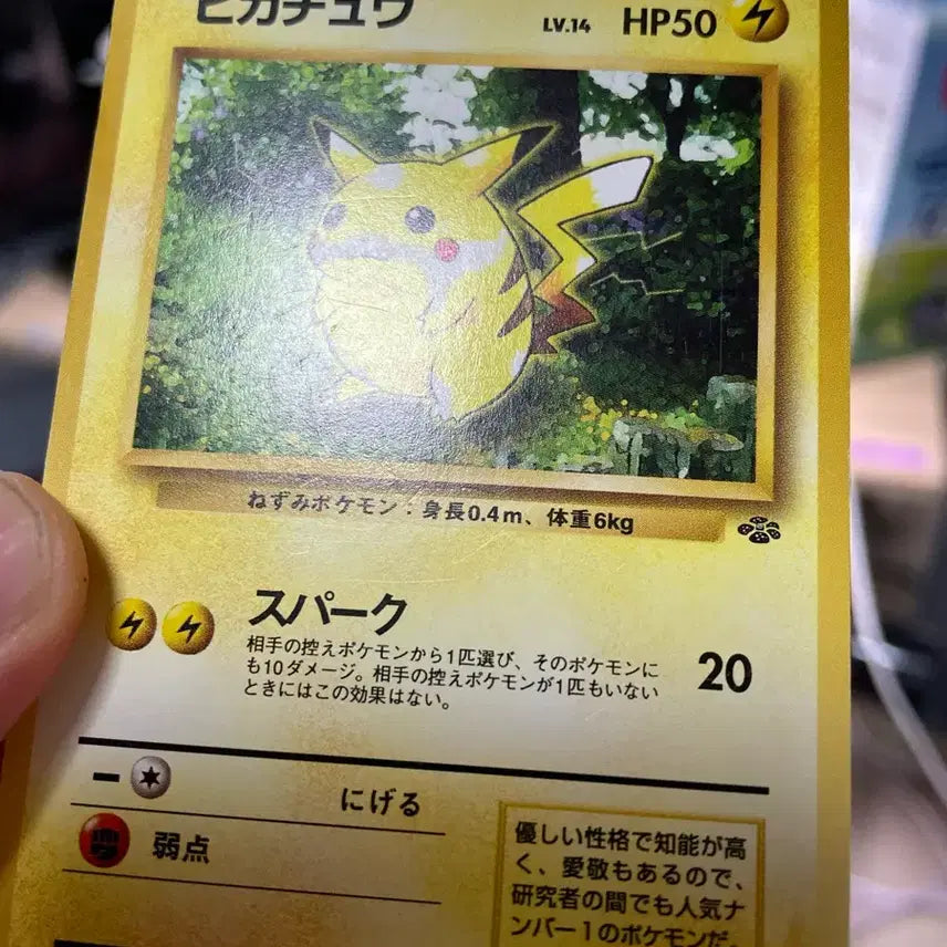 [BUNJANG] Pokemon Card 1997 Pikachu Jungle 1st Edition Japanese (Album Version) / 포켓몬카드 1997 피카츄 일판 정글 초판카드(앨범용)