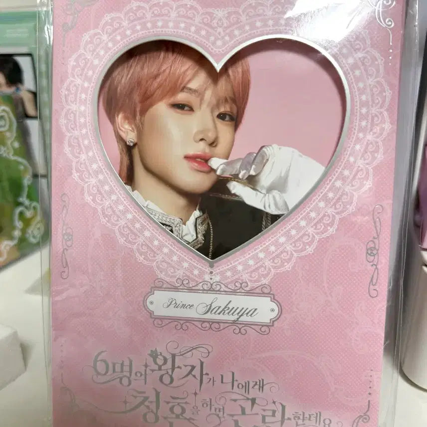 [SOLD OUT] [미개봉]엔시티위시 팬미 사쿠야 포토세트
