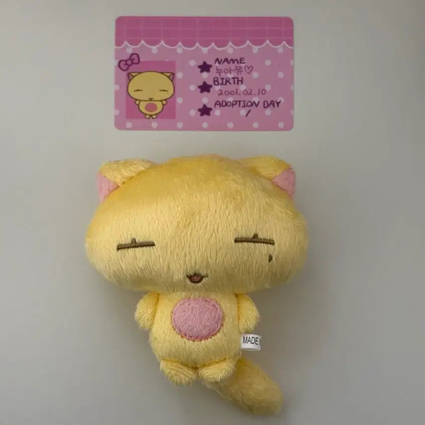 [BUNJANG] PLAVE Noah Plush Doll Nuajju / 플레이브 노아 인형 누아쮸