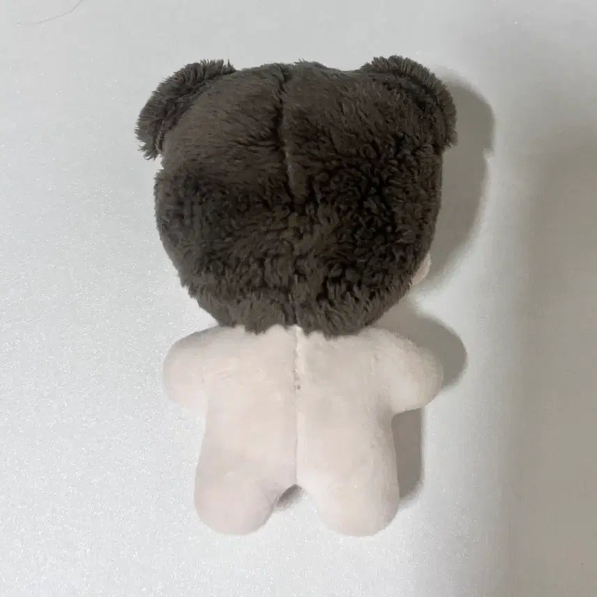[BUNJANG] NCT Haechan Doll / 급처) 햇꽁이 해찬 인형 NCT해찬 인형 판매 양도