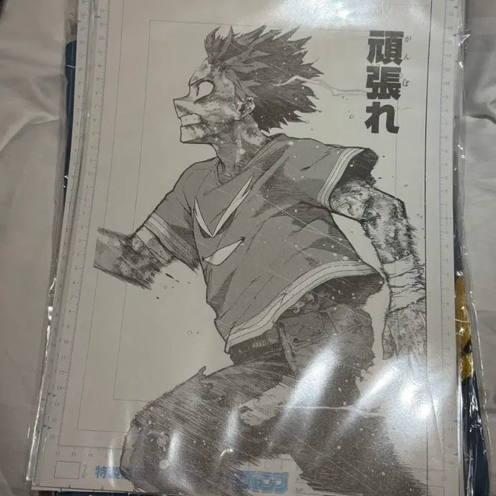 [BUNJANG] My Hero Academia Ganbare Deku Original Drawing Poster / (현물 택포6) 나히아 히로아카 원화전 디지털 원고 간바레 데쿠 포스터