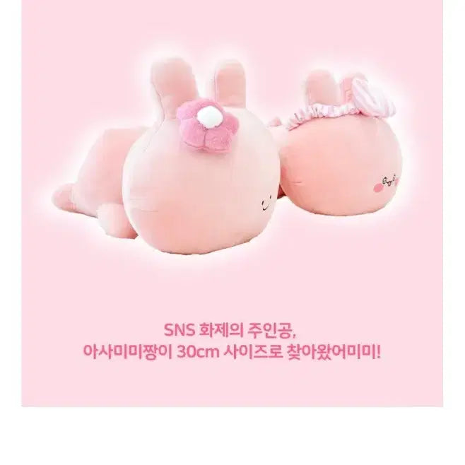 [BUNJANG] Jjang Friends Asami Mimi-chan Lying 38cm Doll (New) / 짱프렌즈 아사미미짱 라잉38cm인형(새상품)