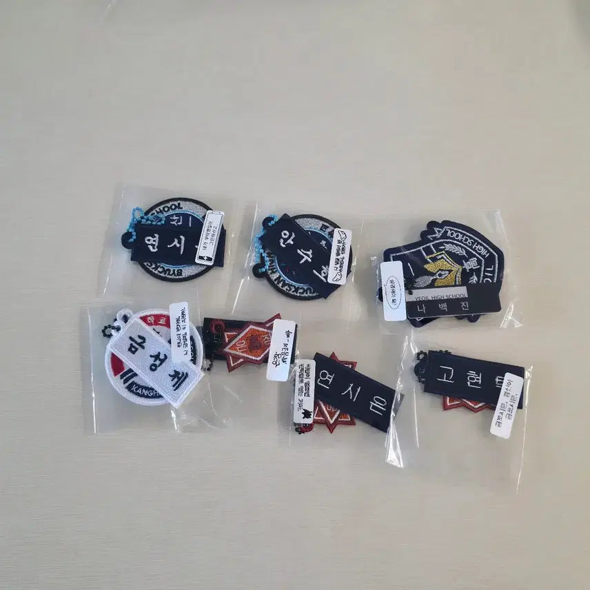 [BUNJANG] Weak Hero Wappen Keyring Bundle Set / 약한영웅 와펜 키링 일괄