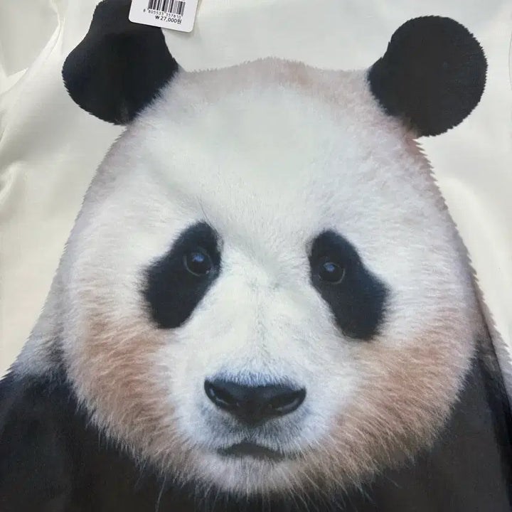 [BUNJANG] FuBao Bundle Set T-Shirt / 푸바오 굿즈 일괄