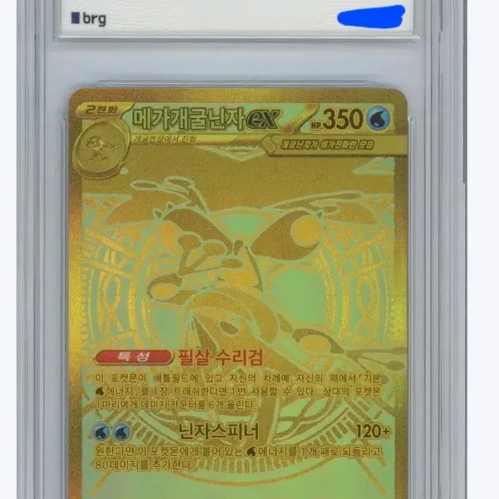 [BUNJANG] Mega Blastoise Mur BRG9 / 메가개굴닌자 mur brg9 판매합니다